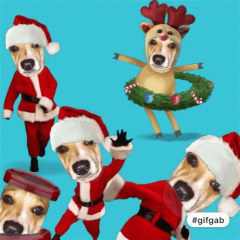 Christmas Dance GIF - Christmas Dance Mylo - Discover & Share GIFs