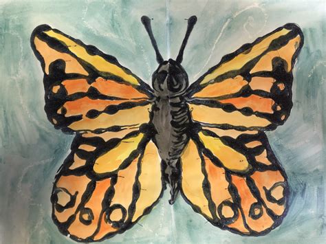 Butterfly Symmetry Study - Milton Art Center