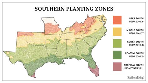 USDA Zone Map: The Southern Guide To Plant Hardiness And Climate Zones