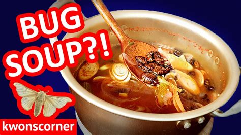 Korean Bug Soup?!: Silkworm Pupa Soup (beondegi tang recipe) - YouTube