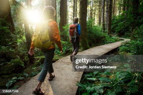 Hiking Through The Redwood Forest High-Res Stock Photo - Getty Images