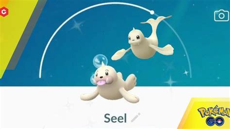 Pokemon GO Shiny Seel Guide: How To Catch Shiny Seel And Evolve To ...