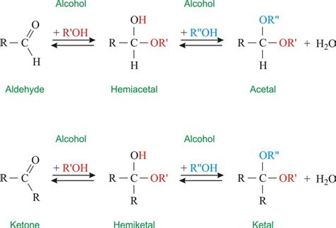 Hemiacetals | Biochemistry | Pinterest | Chemistry and Galleries