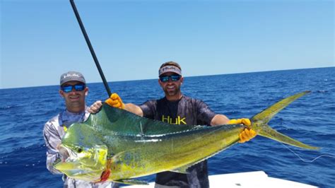 Experience The Thrill Of Deep Sea Fishing In Florida - Travel Ji