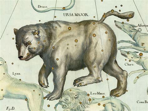 Ursa Major Constellation Myths and Facts | Under The Night Sky