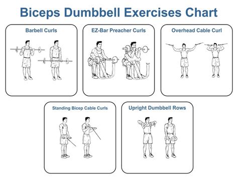 Dumbbell Exercises Chart - 10 Free PDF Printables | Printablee ...