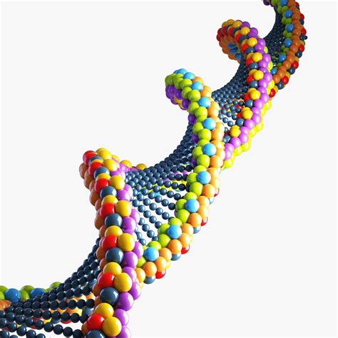 dna 3d model