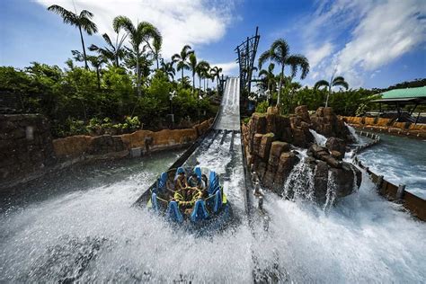 Best Rides at SeaWorld - The Top 10 Attractions at SeaWorld Orlando