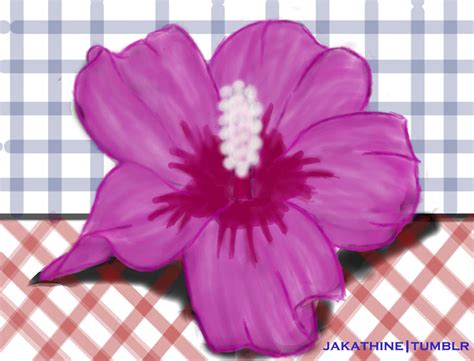 Purple Hibiscus by Jakathine on DeviantArt