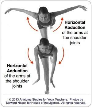 Horizontal Abduction and Adduction | Anatomy and physiology, Yoga ...