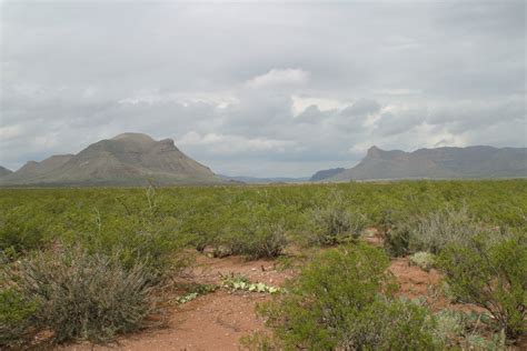 Chihuahuan Desert | One Earth