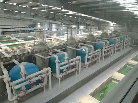 Seawater and fresh water RAS/Recirculating aquaculture system fish ...