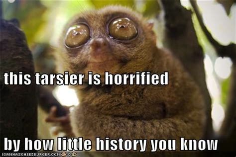 17 Best images about TARSIER on Pinterest | The o'jays, World and Art