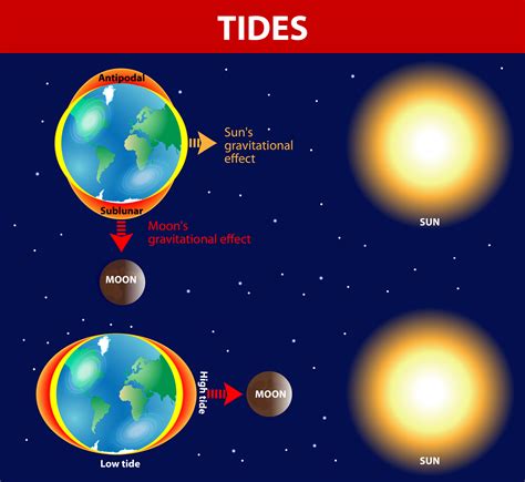 How Tides are Formed - KidsPressMagazine.com