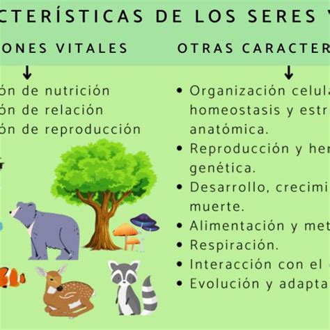 Introducir 62+ imagen caracteristicas de los seres vivos dibujos ...