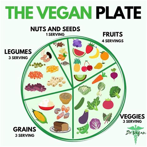 Dr. Vegan on Instagram: “Not sure how to build a vegan plate? Here’s ...