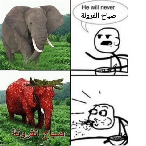 Arabic Strawberry Elephant | Know Your Meme