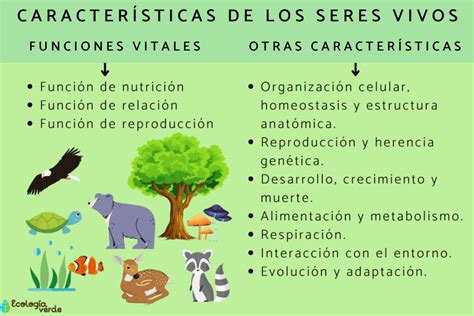 Características de los seres vivos - Resumen