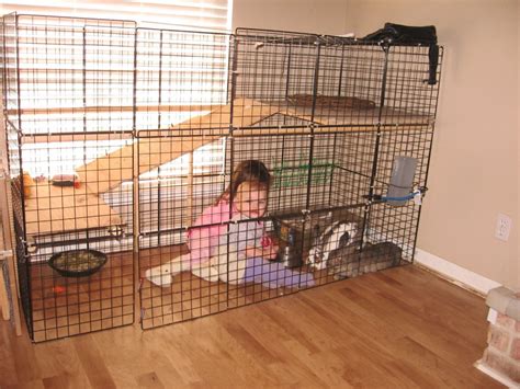 The Best Bunny Cage For Your Rabbit