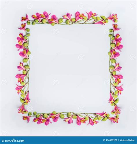 Creative Floral Design Frame Layout with Pink and Green Exotic Flowers ...