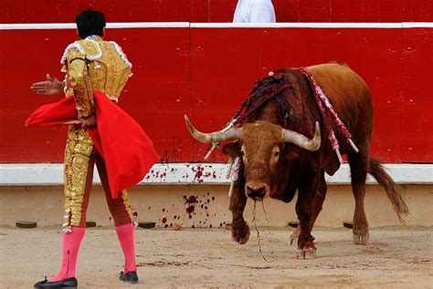 The Legacy Of Bullfighting In Spain