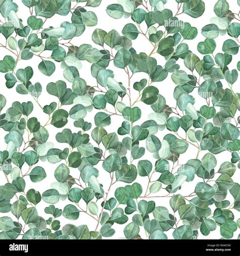 Watercolor eucalyptus hand painted seamless pattern. Green foliage ...