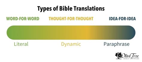 A Guide to Finding the Right Bible Translation – Olive Tree Blog