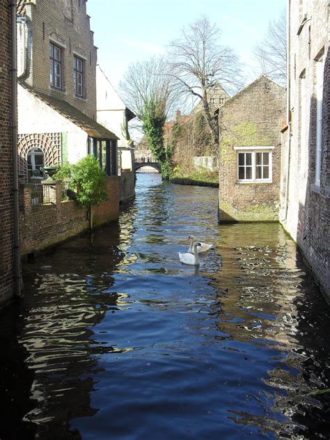 Canal in Bruges, Belgium | Brugges belgium, Belgium travel, Bruges