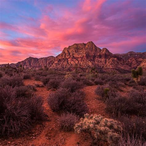 Pink Sunrise in Red Rock Canyon | Rock photography, Sunrise, Red rock