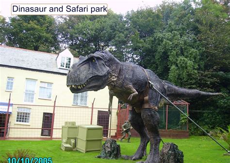 Pictures of Combe Martin Wildlife & Dinosaur Park