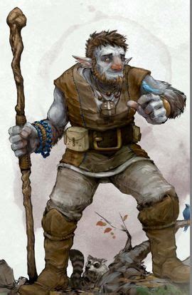 Firbolg Druid: How To Build And Play Them - Wizard Of The Tavern