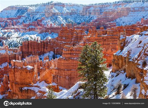 Bryce canyon in winter Stock Photo by ©kamchatka 133039656