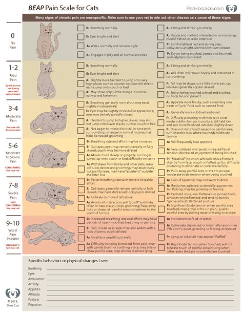 BEAP.Pain_.Scale_.Cats-ilovepdf-compressed | Pet Crossings