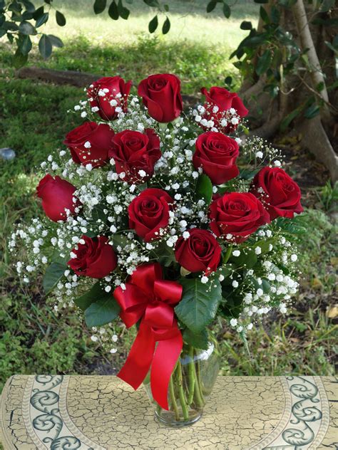 Classic Dozen Roses Bouquet in Venice, FL | Venetian Flowers