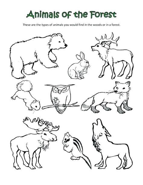 Forest Animals Coloring Pages at GetColorings.com | Free printable ...