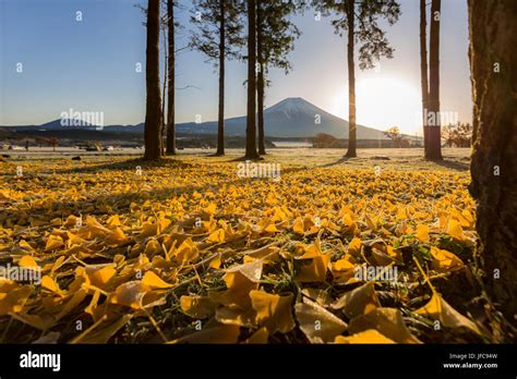 Mount Fuji Sunrise Stock Photo - Alamy