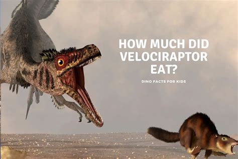 How Much Did Velociraptor Eat? - Dinosaur Facts For Kids