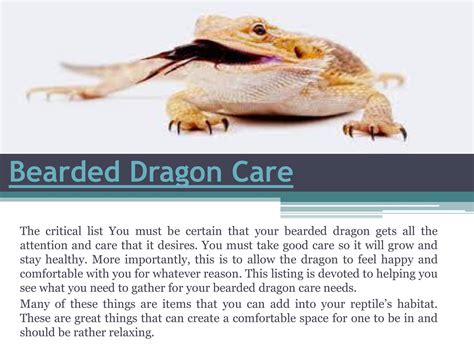 Bearded Dragon Care.pdf | DocDroid