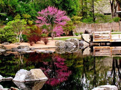 Denver Botanic Gardens – Denver, CO | Wildlife Plant Attraction