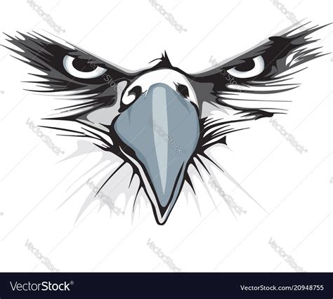 Eagle eye Royalty Free Vector Image - VectorStock