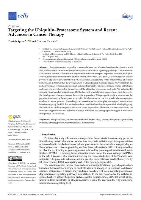 (PDF) Targeting the Ubiquitin–Proteasome System and Recent Advances in ...