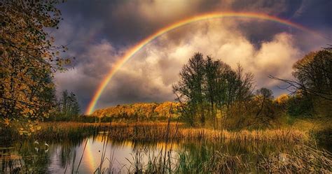 HD wallpaper: Earth, Rainbow, Nature, Swamp | Wallpaper Flare