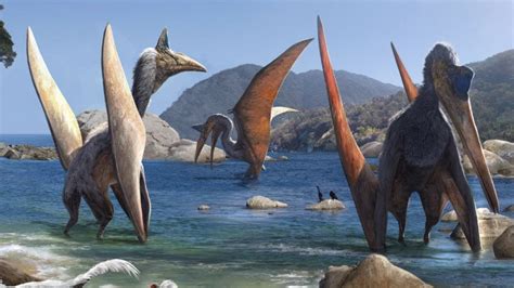 Quetzalcoatlus | The Largest Animal To Ever Fly In North America