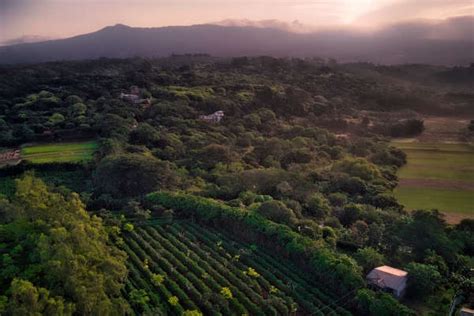 9 Best Things to Do in The Central Valley | Costa Rica Experts