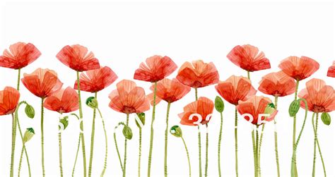 Field of poppies clipart 20 free Cliparts | Download images on ...