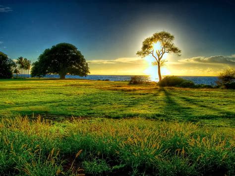 Share 74+ sunrise nature wallpaper super hot - in.cdgdbentre