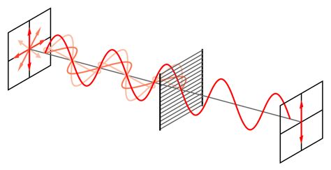 Electromagnetic Waves Polarization | PhysicsOpenLab