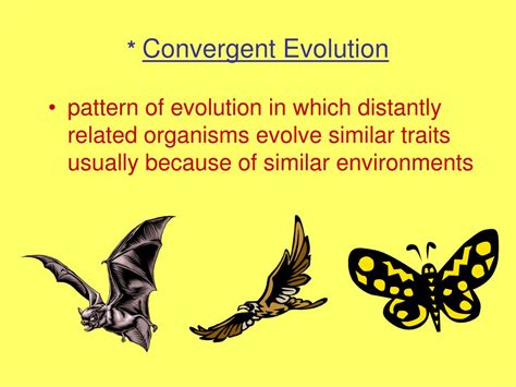 Why Is Convergent Evolution Important