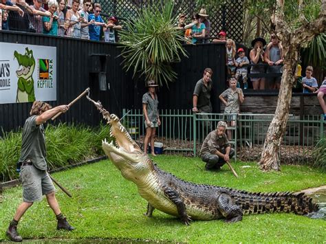 The Australian Reptile Park - HawkesburyRiver.com