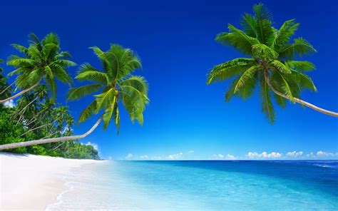 Tropical Beaches Desktop Wallpapers - Top Free Tropical Beaches Desktop ...